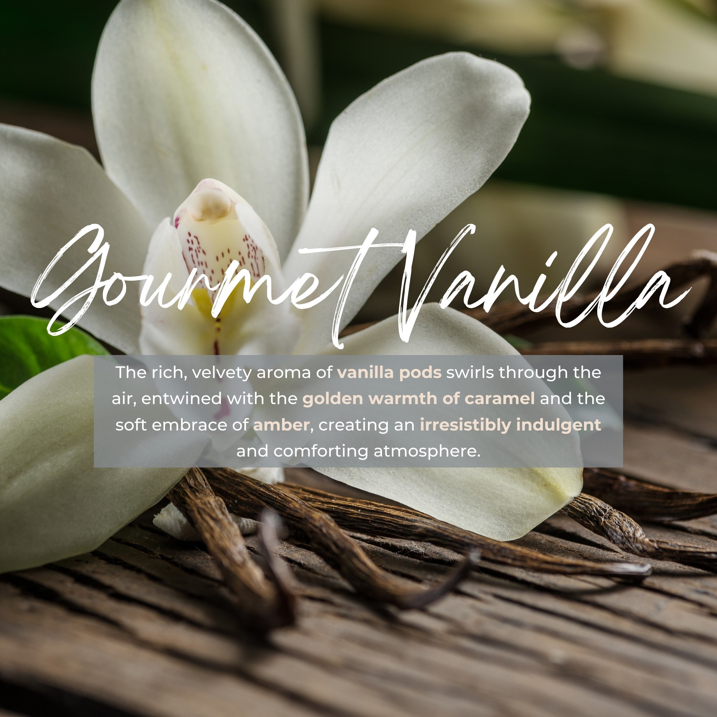 Durance Refill for scented bouquet 250ml Vanilla Gourmet fragrances