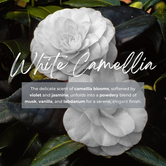 Durance Refill for scented bouquet 250 mL White Camellia fragrances