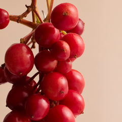 Mustela Soothing Moisturizing Face Cream 40ml Product Ingredient Image