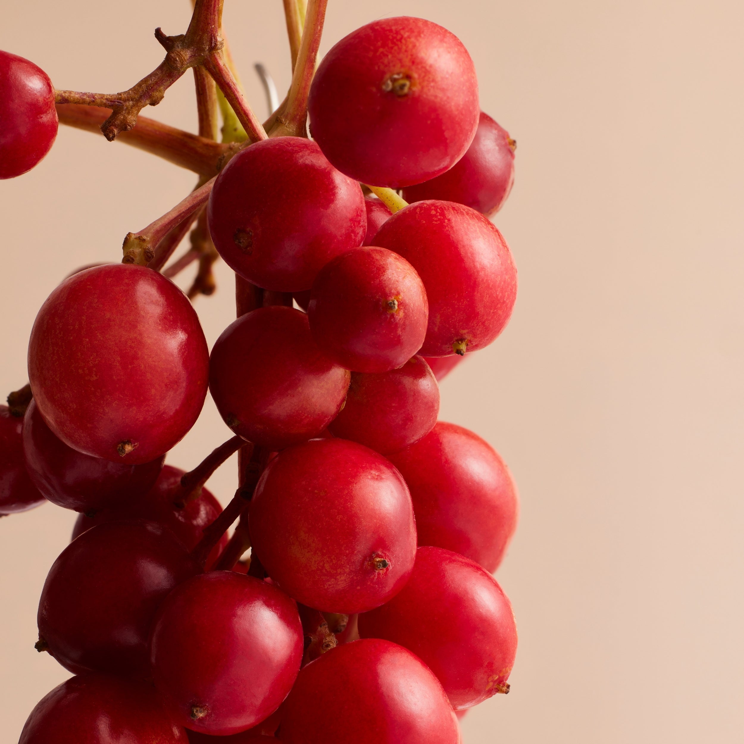 Mustela Soothing Moisturizing Lotion Product Ingreident