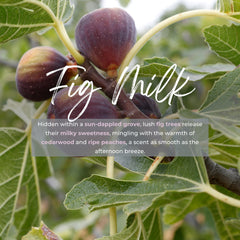 Durance Perfumed Handmade Candle 180 gr Fig Milk Fragrances