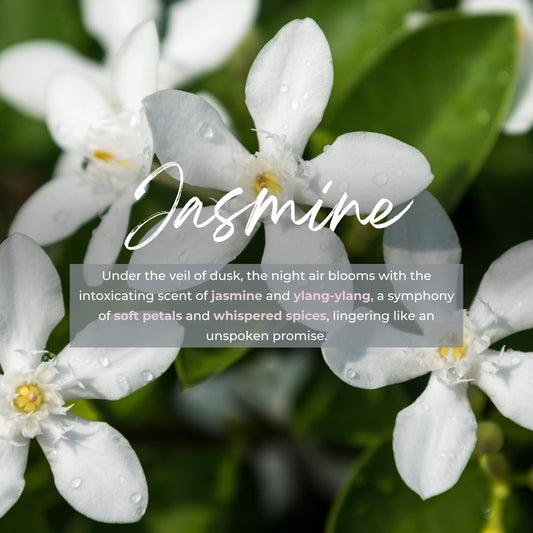 Durance Perfumed Handmade Candle 180g Jasmine fragrances