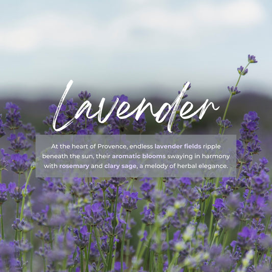 Durance Perfumed Handmade Candle 180g Lavender fragrances