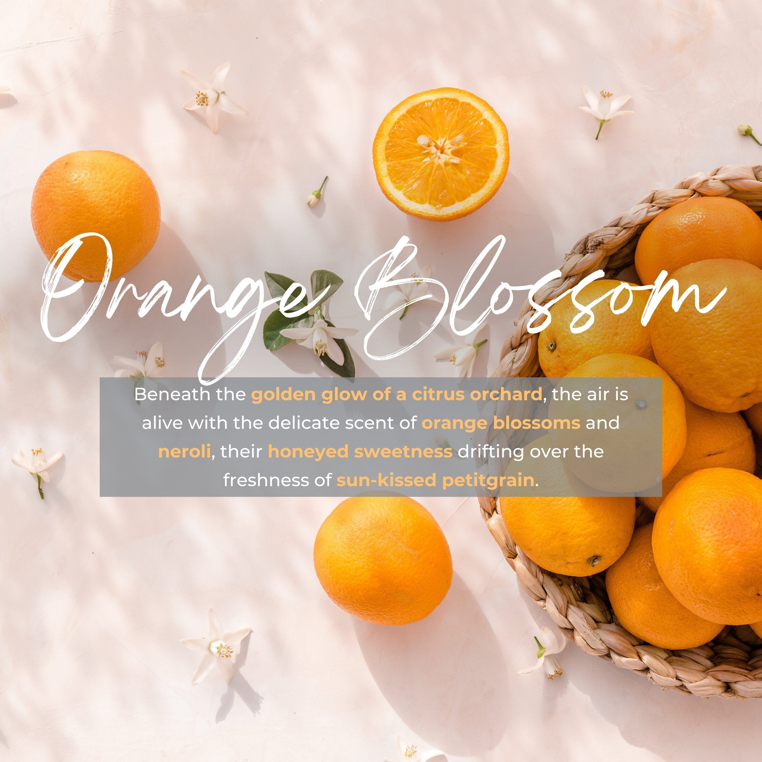 Durance Perfumed Handmade Candle 180g Orange Blossom fragrances