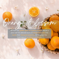 Durance Perfumed Handmade Candle 180g Orange Blossom fragrances