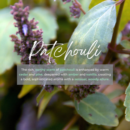 Durance Perfumed Handmade Candle 180g Patchouli fragrances