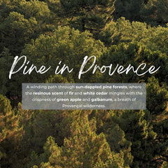 Durance Perfumed Handmade Candle 180g Pine in Provence Scent