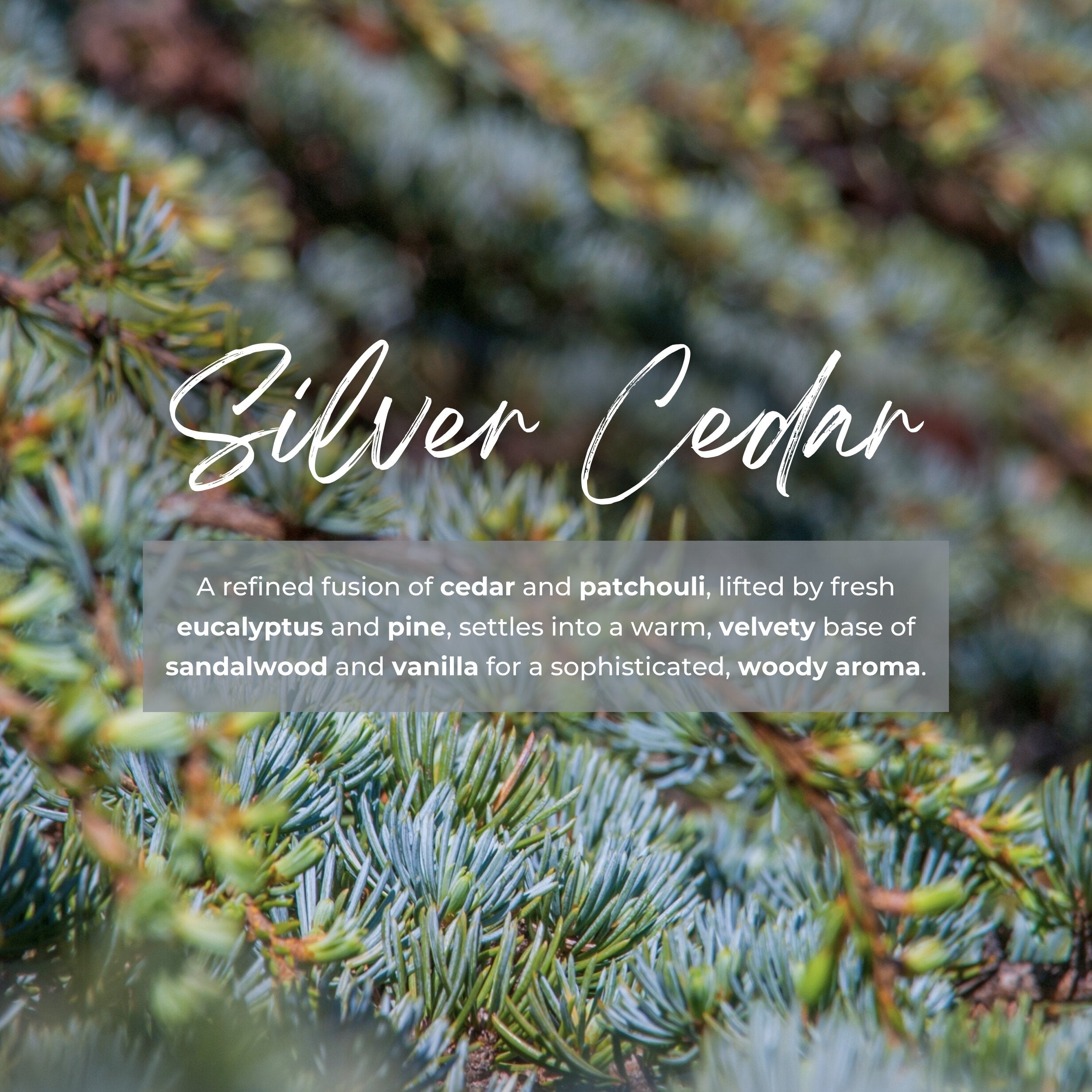 Durance Perfumed Handmade Candle 180g Silver Cedar fragrances