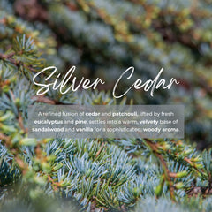 Durance Perfumed Handmade Candle 180g Silver Cedar fragrances