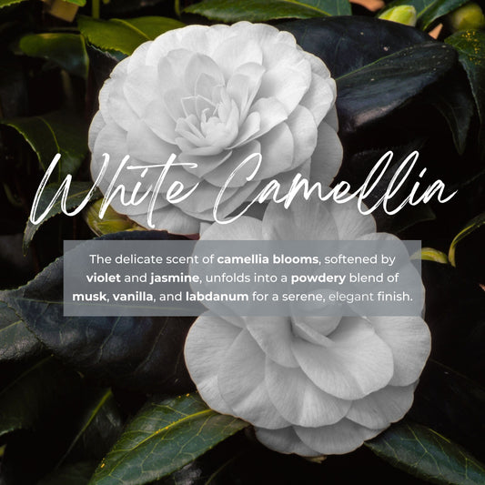 Durance Perfumed Handmade Candle 180g White Camellia fragrances