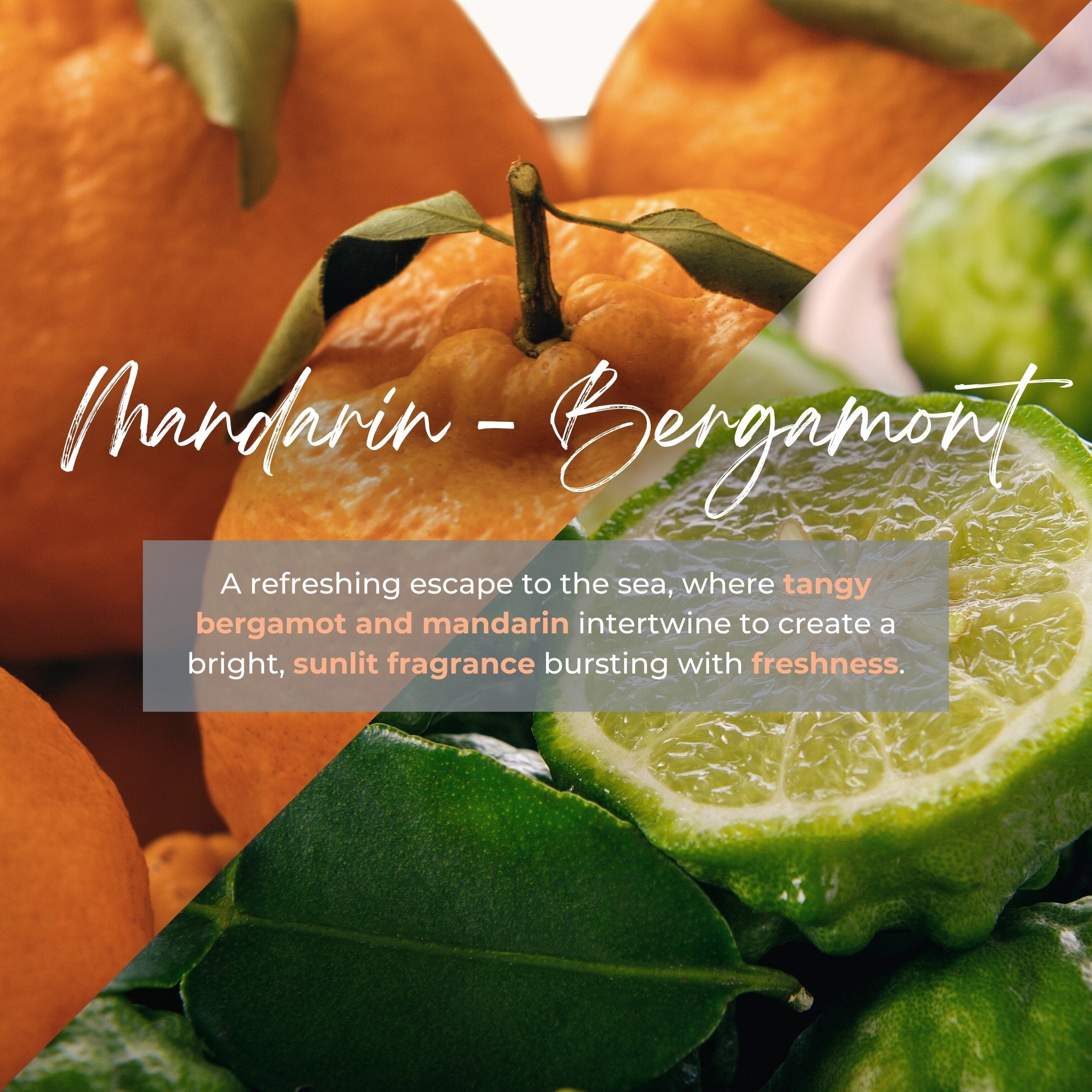 Durance Perfumed handmade Candle 180g Mandarin - Bergamot fragrances