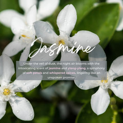 Durance Refill for scented bouquet 250ml Jasmine fragrances