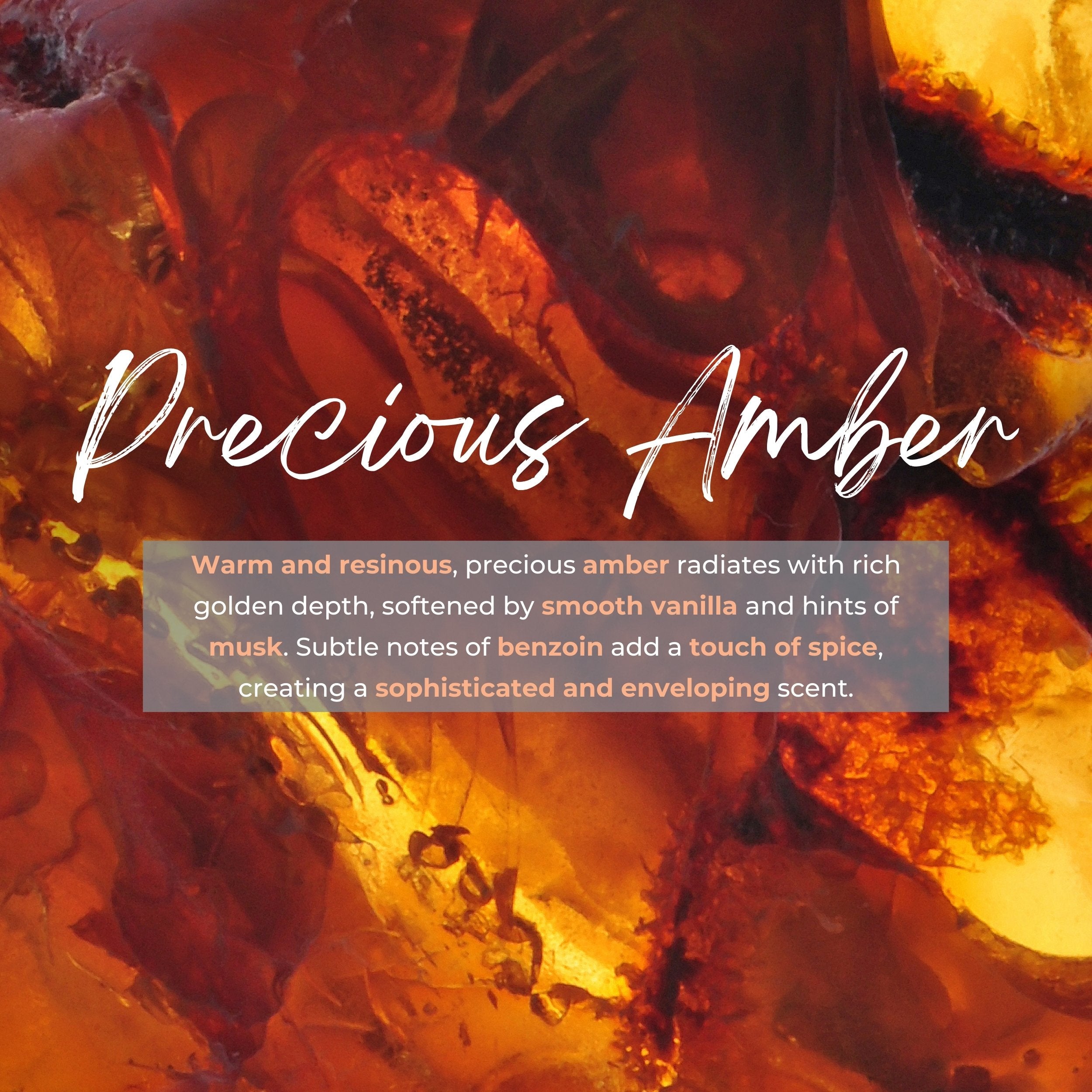 Durance Refill for scented bouquet 250ml Precious Amber fragrances