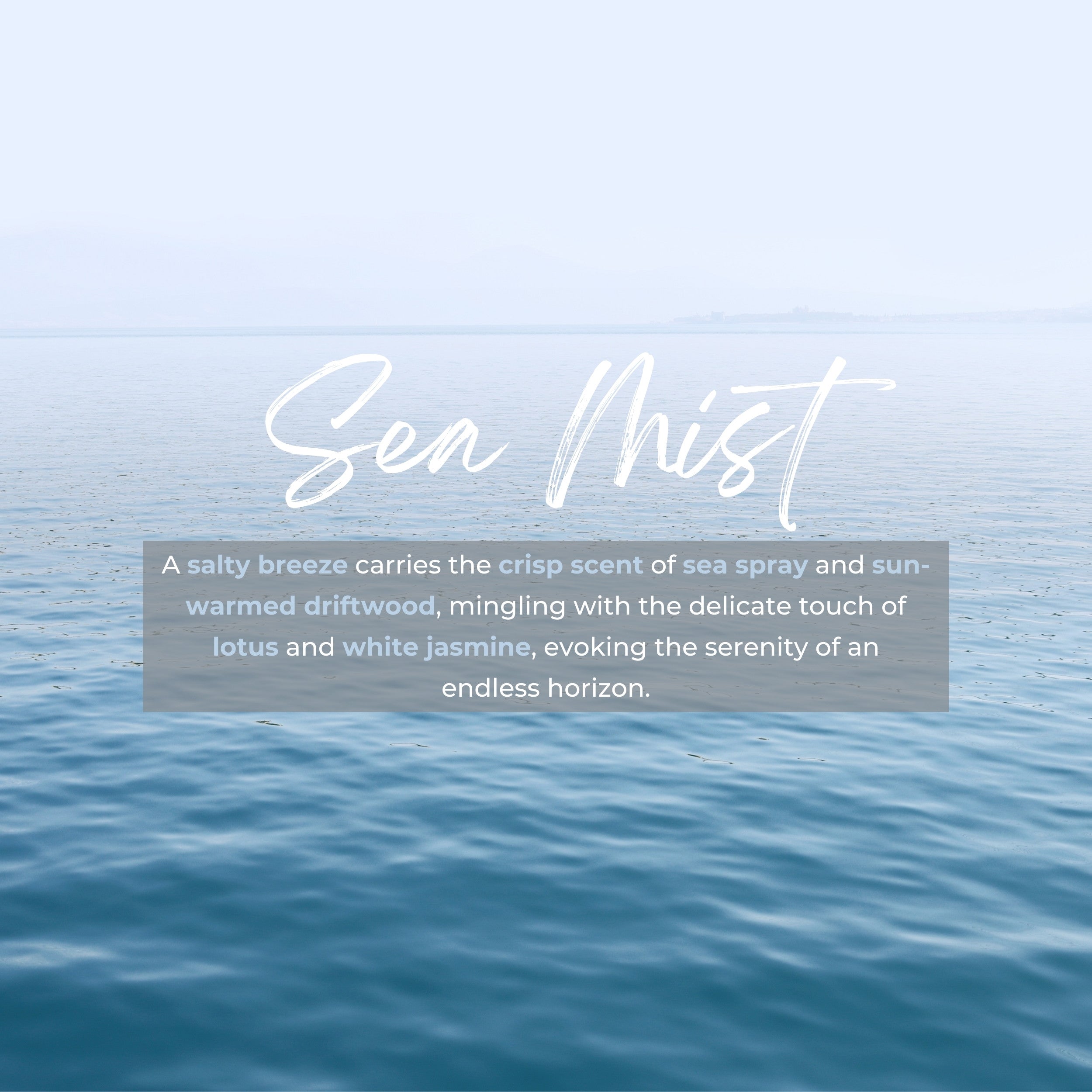 Durance Refill for scented bouquet 250ml Sea Mist fragrances