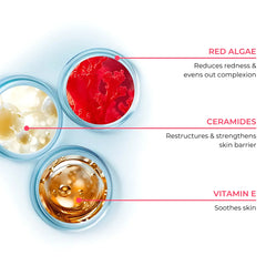 Three containers labeled 'Red Algae', 'Ceramides', and 'Vitamin E' with text describing their benefits on a light blue background.