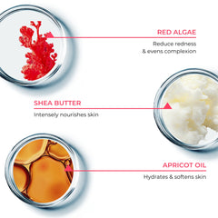 Cosmetic ingredients including red algae, shea butter, and apricot oil with labels on a white background.
