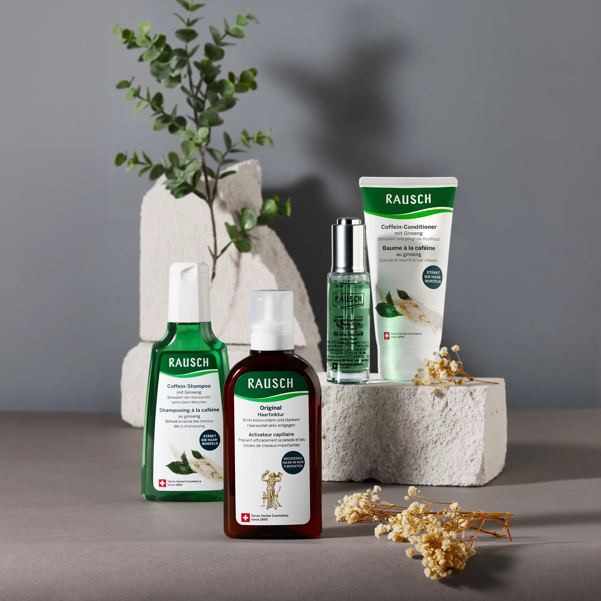 Rausch Caffeine conditioner with ginseng 150 ml Complete Set