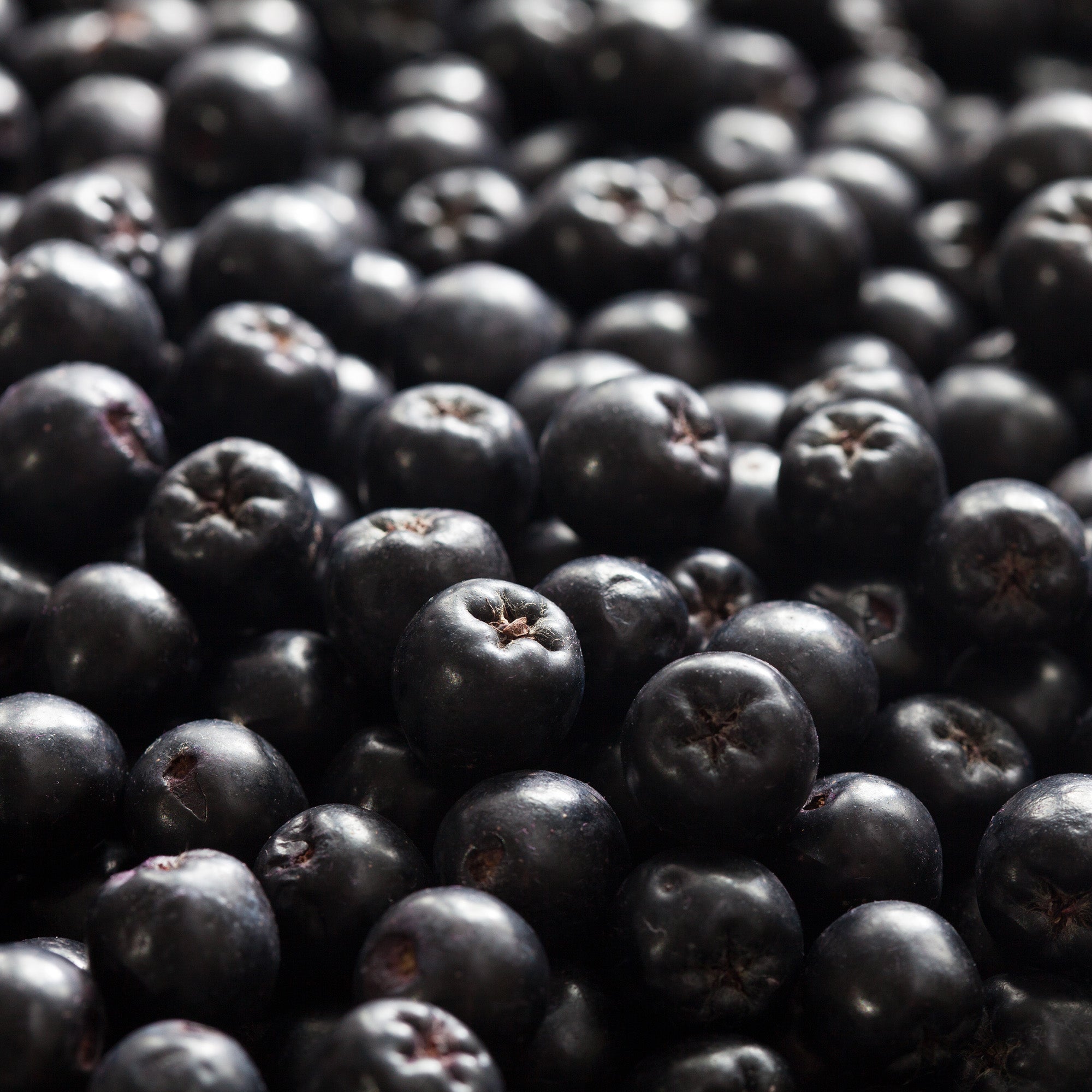 Rausch Dry Shampoo Fresh 150ml Main Ingredient