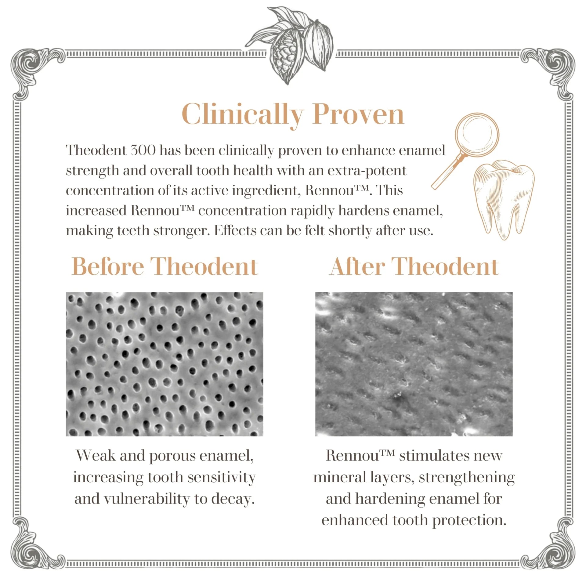 Theodent Classic Spearmint Toothpaste 100ml about ingredient