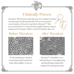 Theodent Classic Spearmint Toothpaste 100ml about ingredient