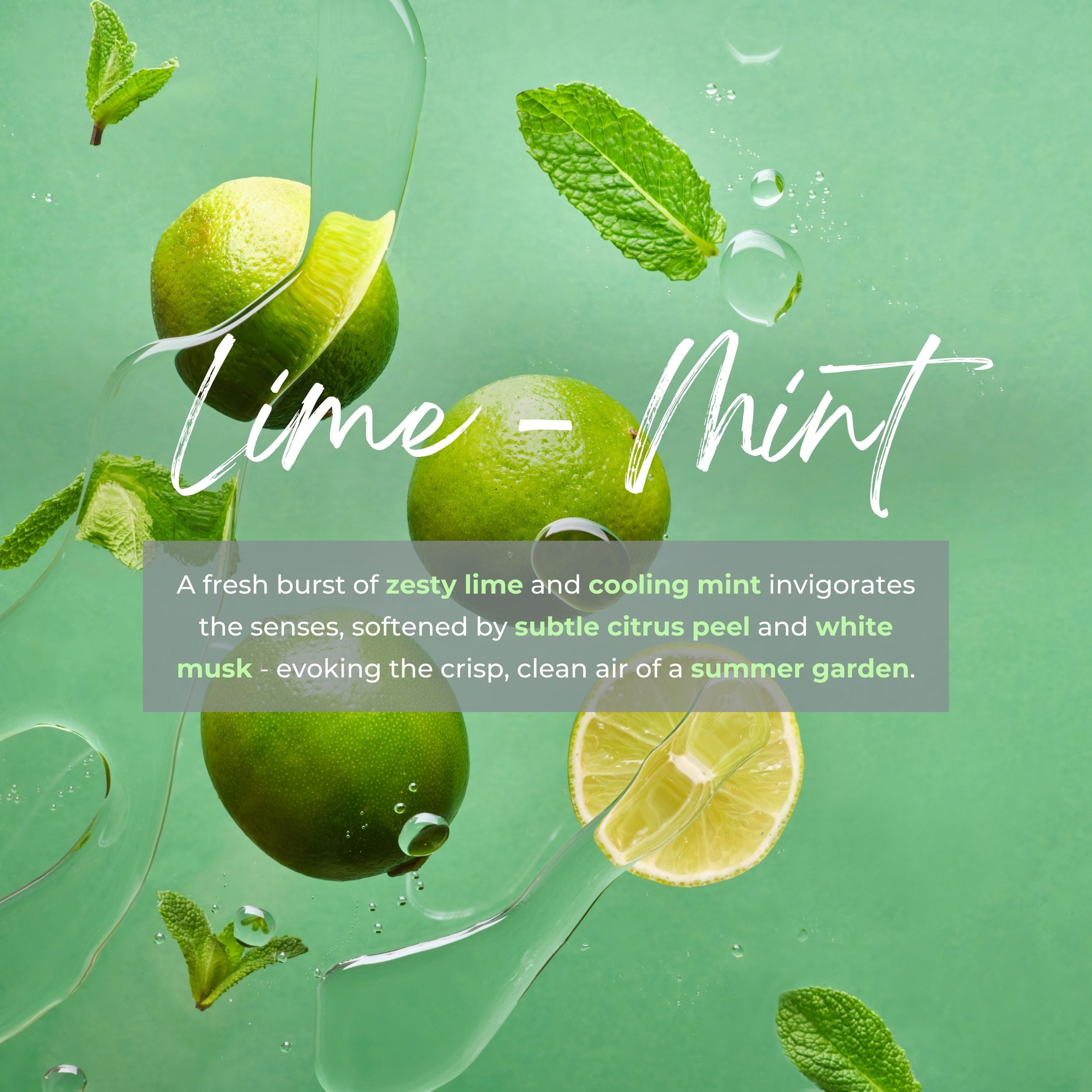 Green limes and mint leaves with water droplets on a green background, featuring the word 'Lime-Mint'.
