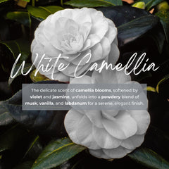 White camellia flower with descriptive text overlay on a dark background