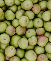 Rausch Anti-Pollution Spray with Swiss Apple Ingredient