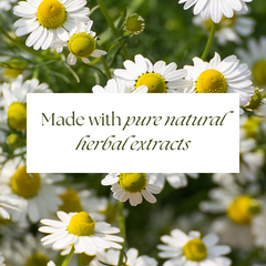 Rausch Healthy Hair Set