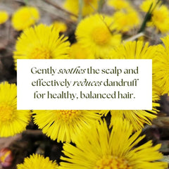 Rausch Anti-Dandruff Shampoo with Coltsfoot 200ml