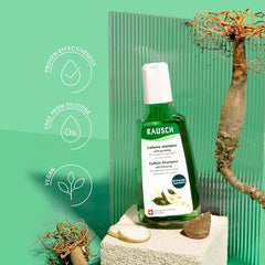 Rausch Hair Loss Caffeine Shampoo with Ginseng 200ml
