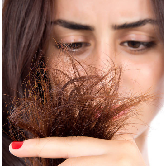 Rausch Damaged Hair