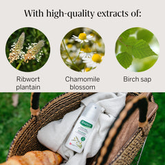 Rausch Detangling spray conditioner with Swiss herbs 100ml