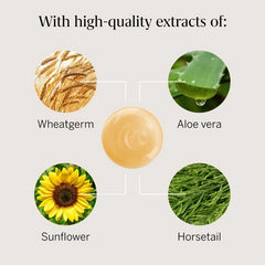 Rausch Nourishing Shampoo with Egg-Oil 200ml