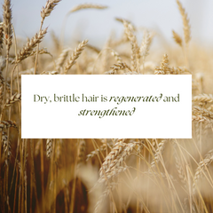 Rausch Dry Hair Set