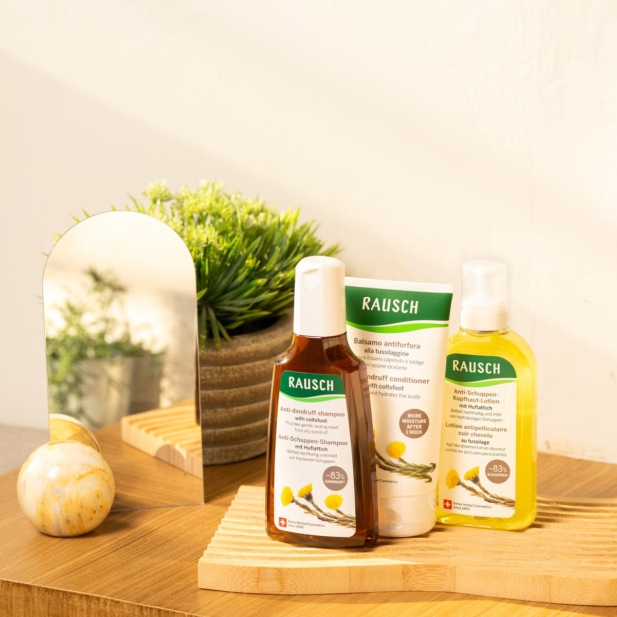Rausch Anti-Dandruff Hair Set