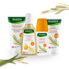 Rausch Dry Hair Set