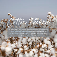 Cotton flowers with a text overlay on a blurred background
